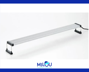 CHIHIROS SERIE B 60CM